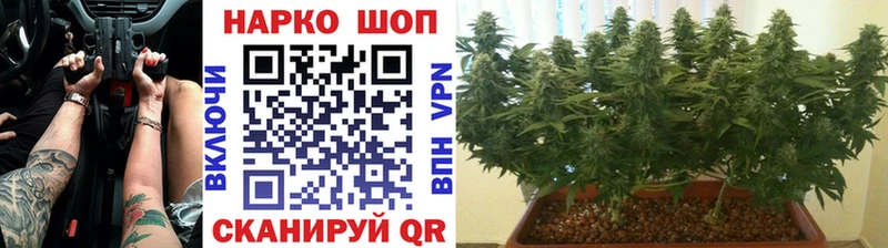 Купить наркотики сайты Заволжск Псилоцибиновые грибы  МЕФ  Cocaine  A-PVP  ГАШИШ  МАРИХУАНА 